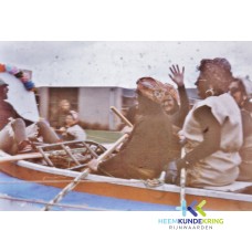 Carnaval 1977 Coll. F.Janssen (5)